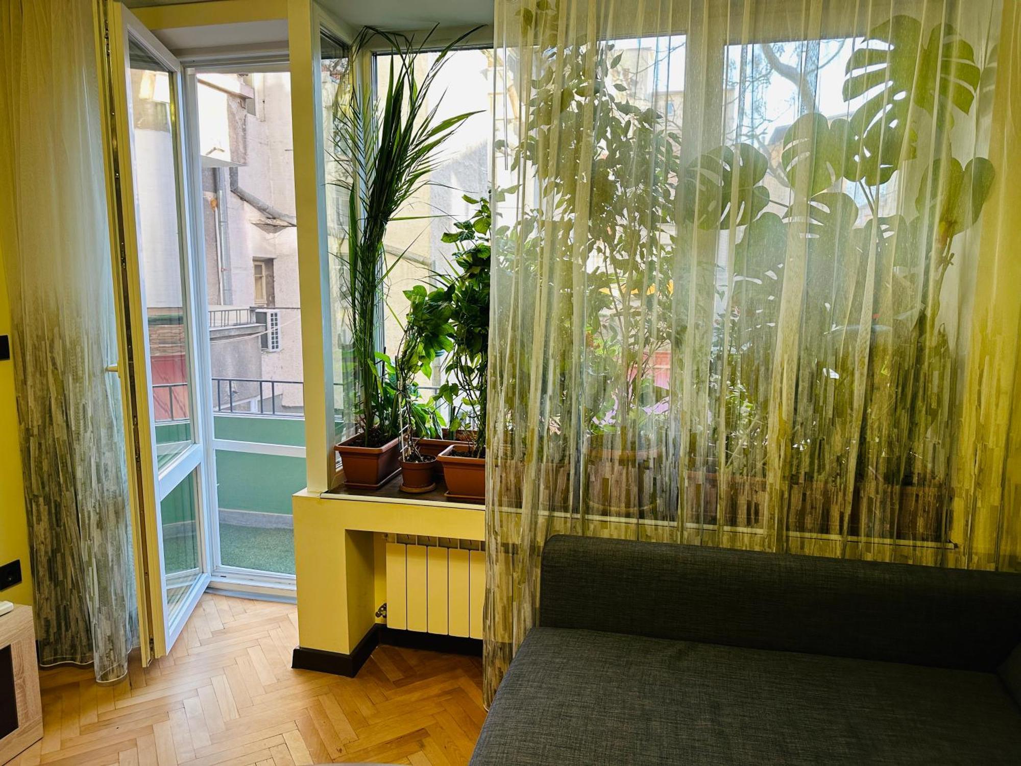 Luxury Oasis In Absolute Center Of Sofiaアパートメント エクステリア 写真